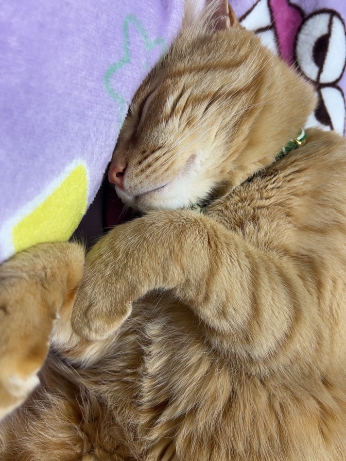 クラブ プラチナ 松本日記1631102