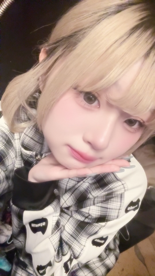 一条 葵