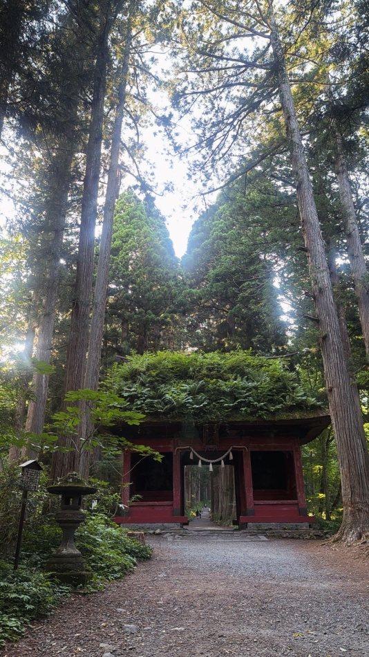 LINOA LOUNGE日記1722526
