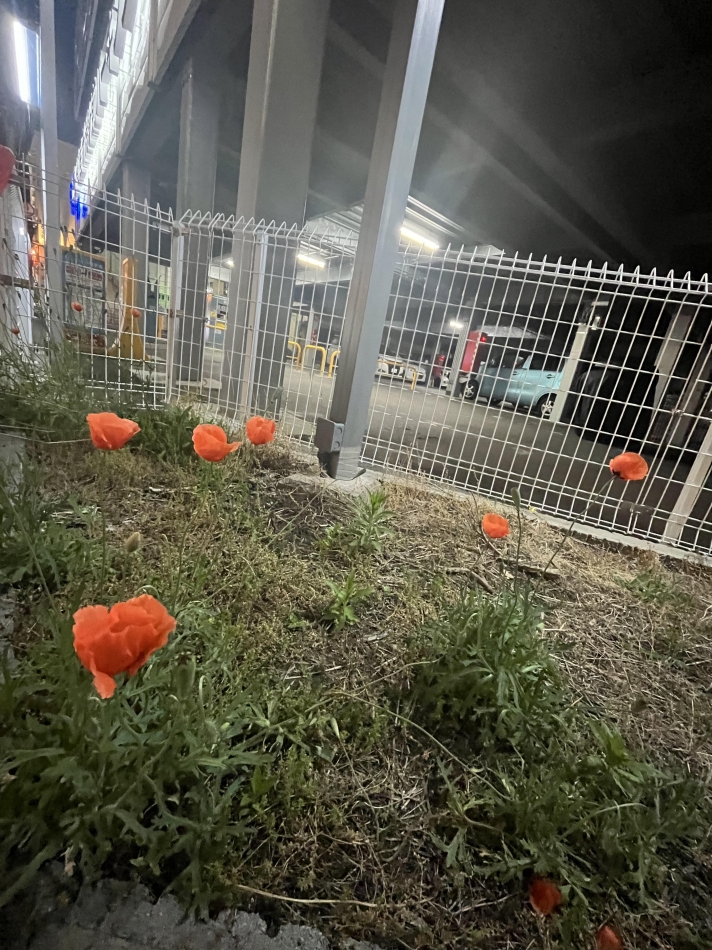 Friday ☻（ 6月8日 ）