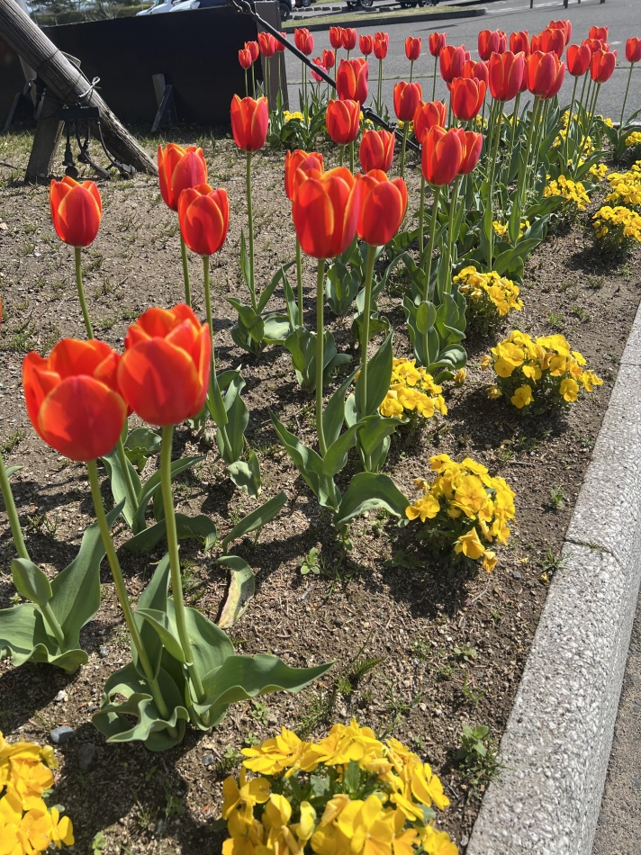 club Diana日記1341808