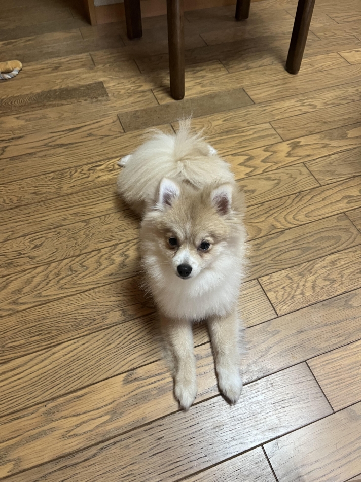 BRILLAR日記1388682