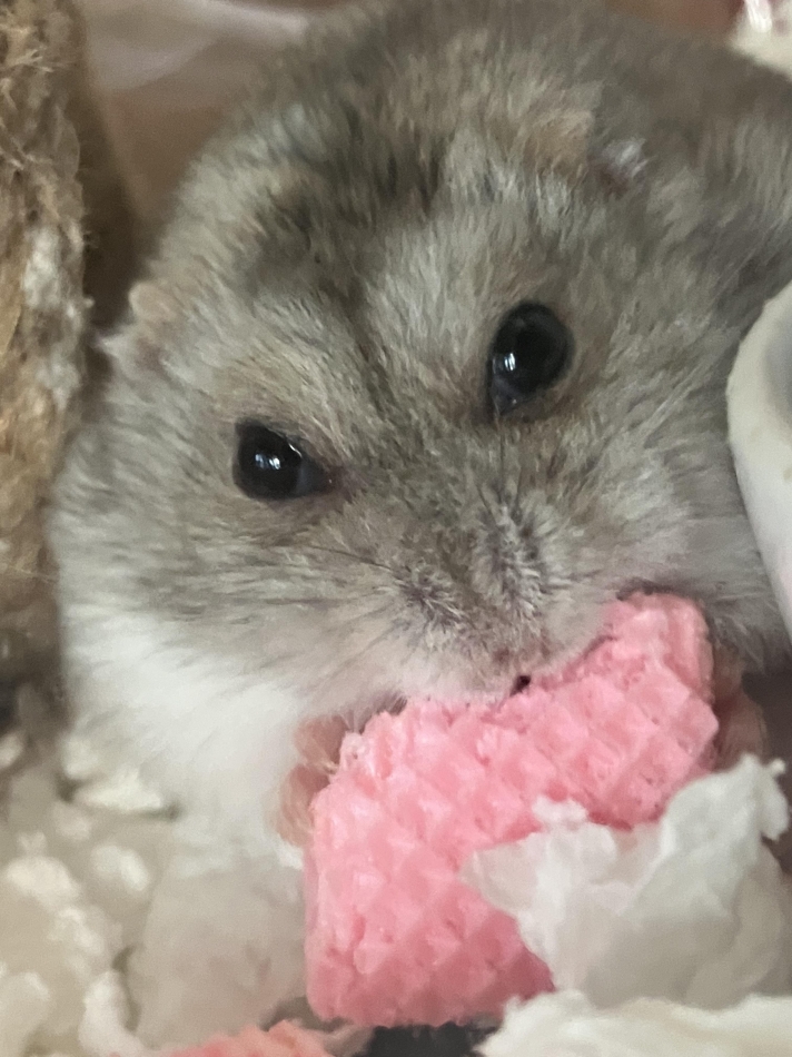 あやか