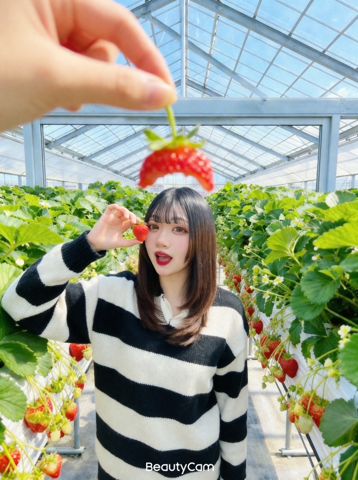 一条 葵