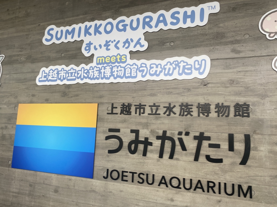 【お知らせ】- ̗̀ 📢💭