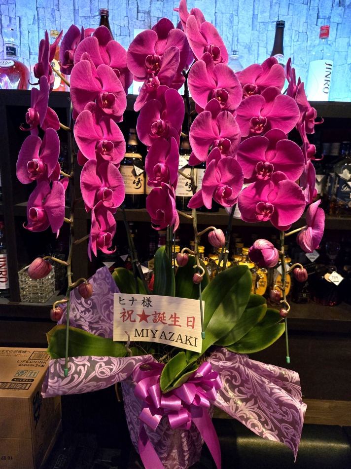 スナックBar Peace日記1552044