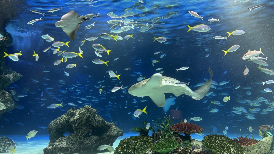 大学落ち着いた大学生