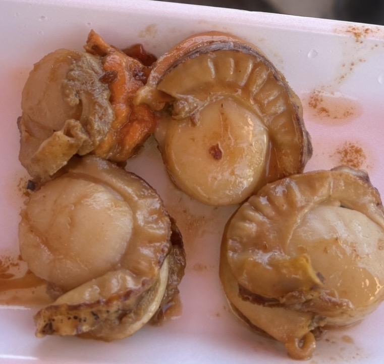 一条 葵