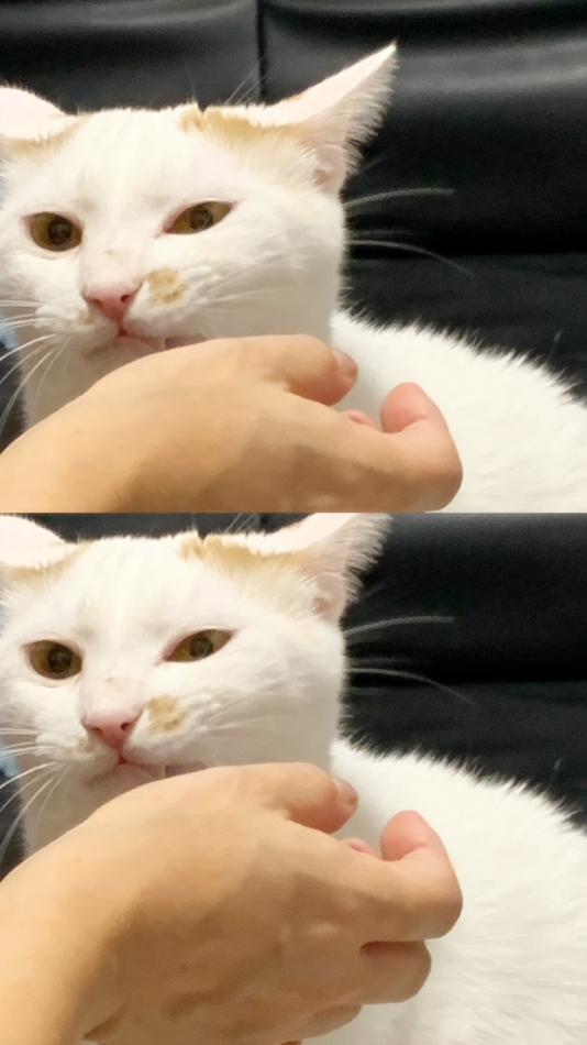 出勤しました😺