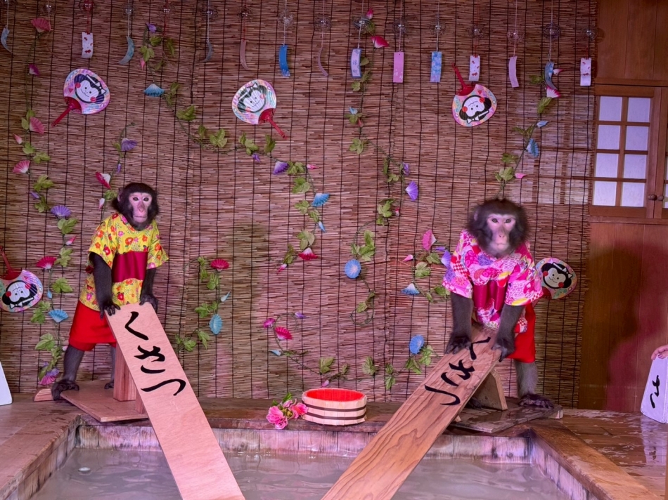 8月29日 17時48分のブログ