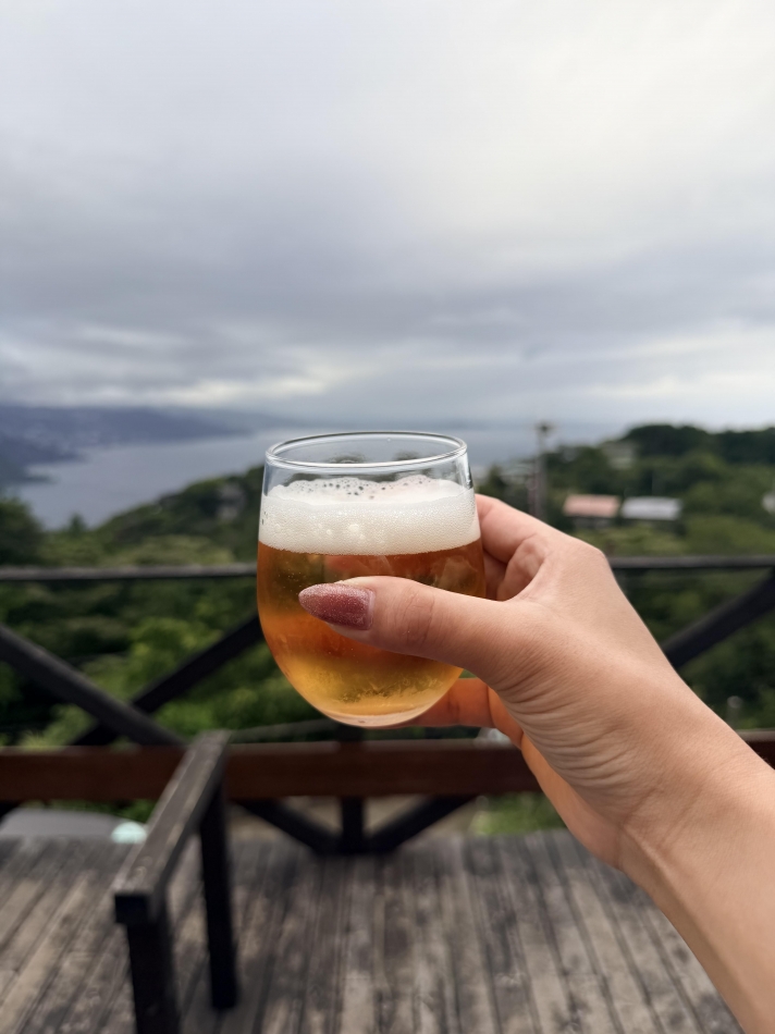 一条 葵