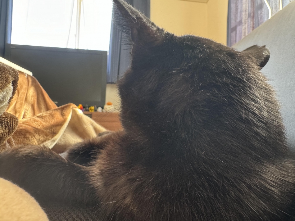 2連休ありがとうございました！