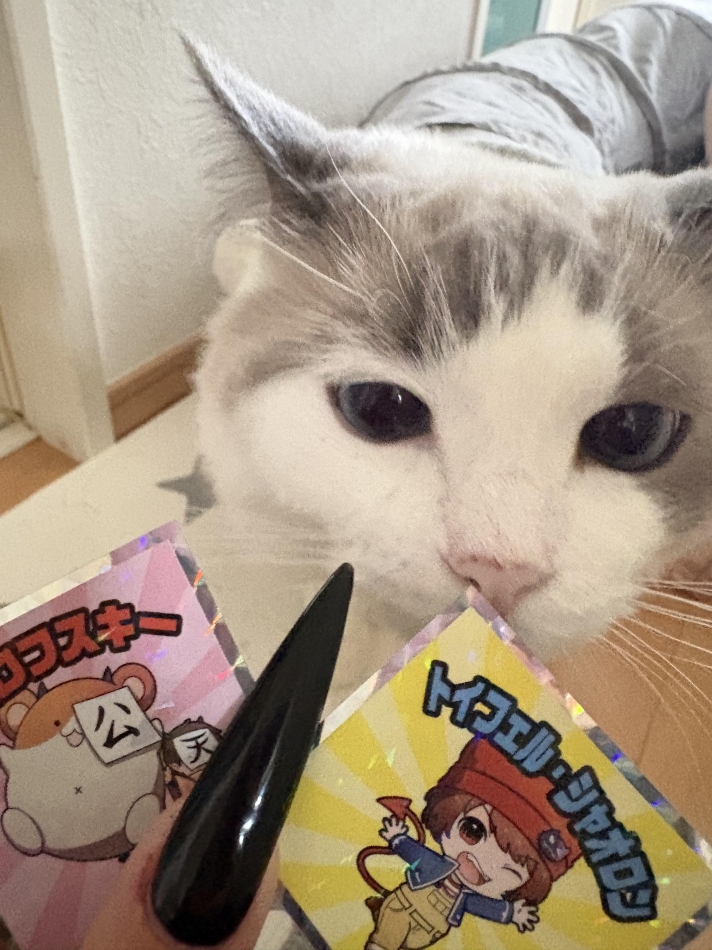 推し🐱