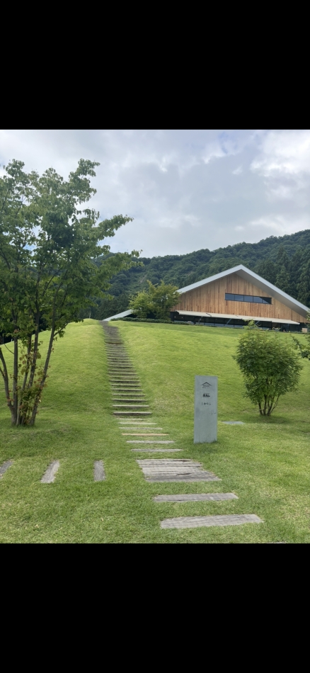 一条 葵