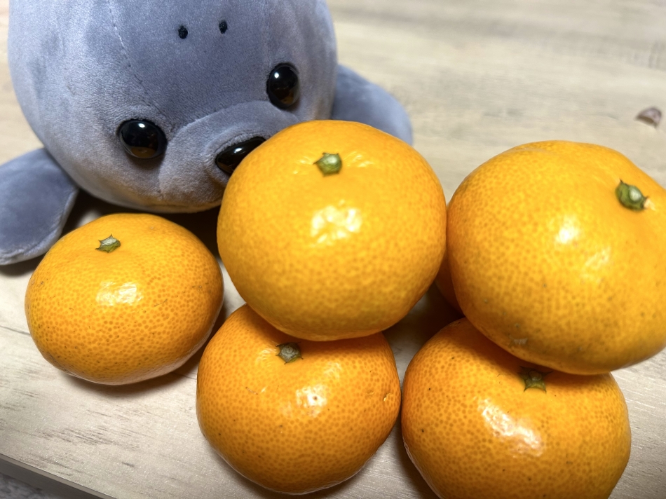 11月24日 19時46分のブログ