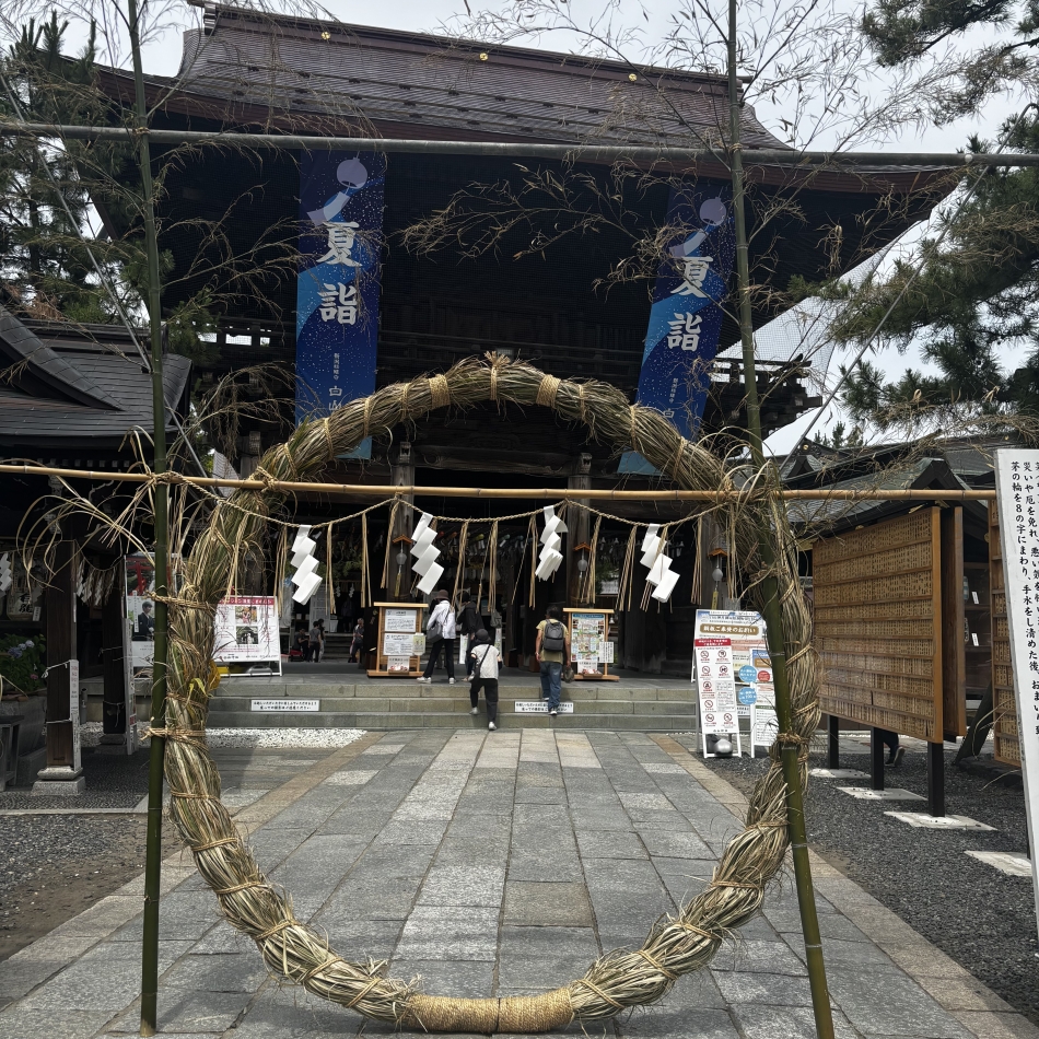 一条 葵