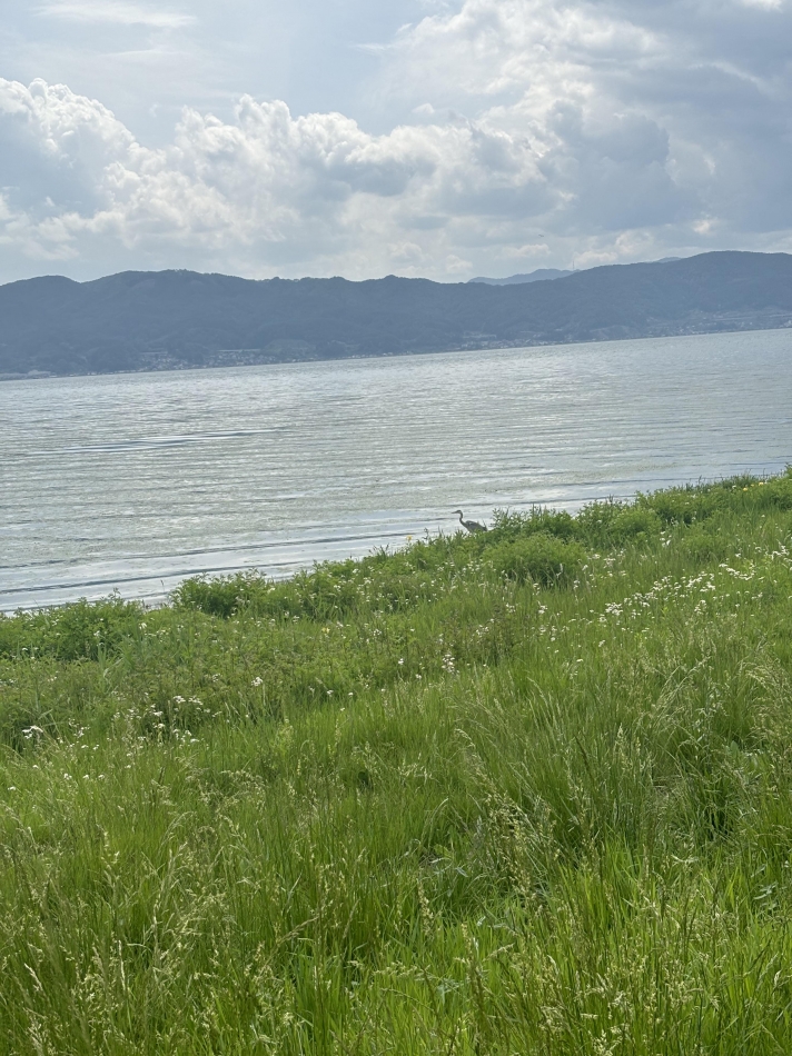 CLUB Red日記1365843