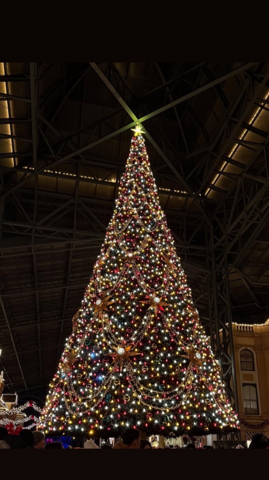 ディズニー🐭🏰