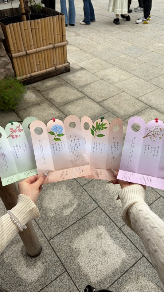 一条 葵