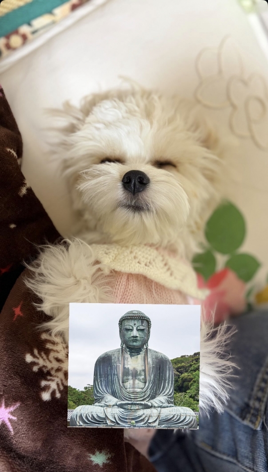 BRILLAR日記1604579