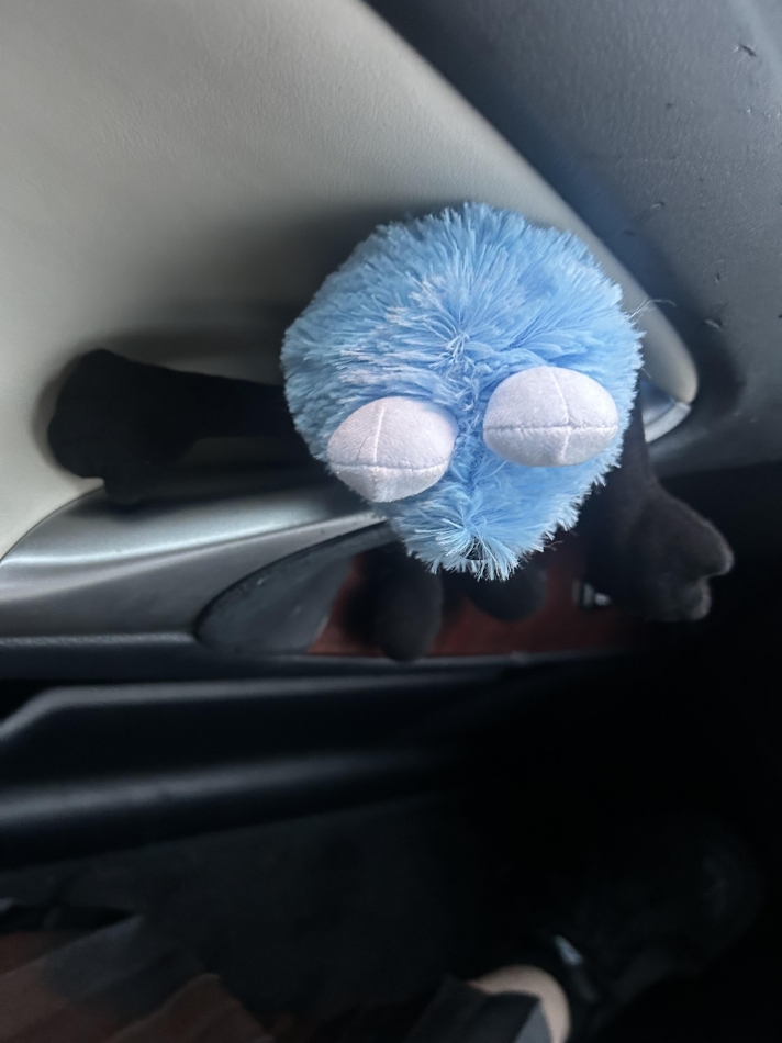 Girls Bar Philia日記1605243