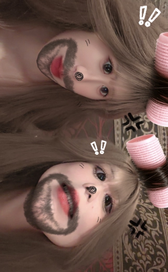 一条 葵