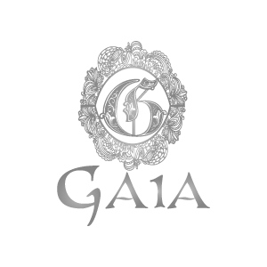 GAIA画像562