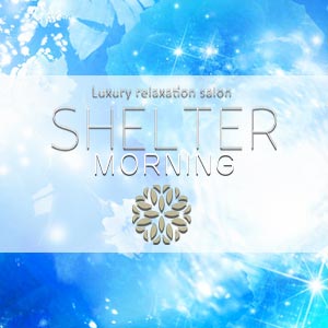 SHELTER Morning
