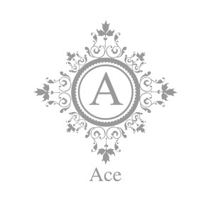 Ace画像668
