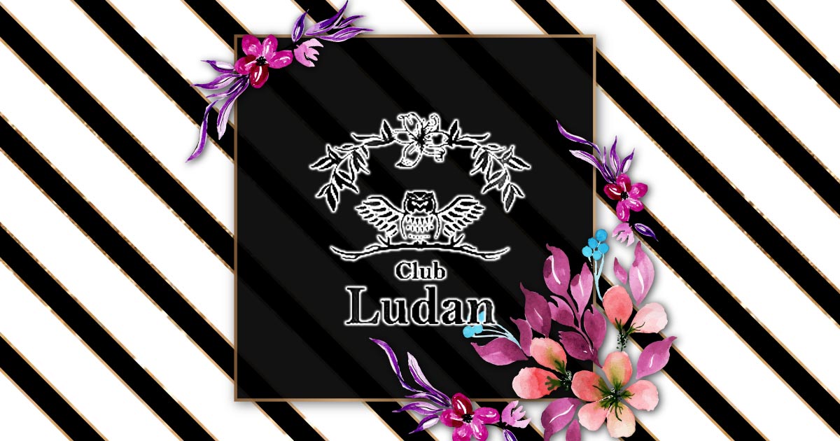Club Ludan画像/312