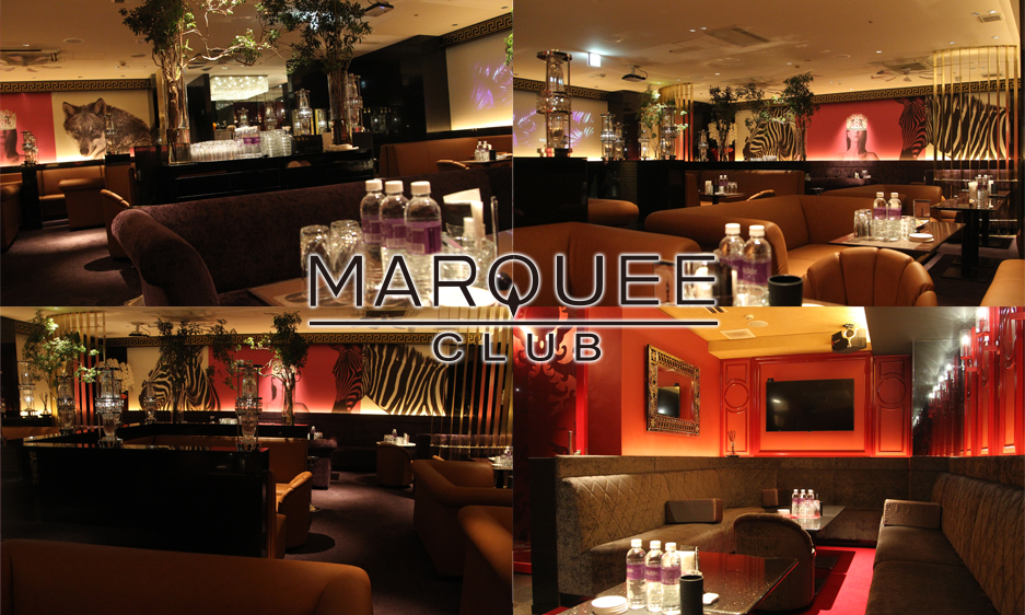 CLUB MARQUEE画像/561