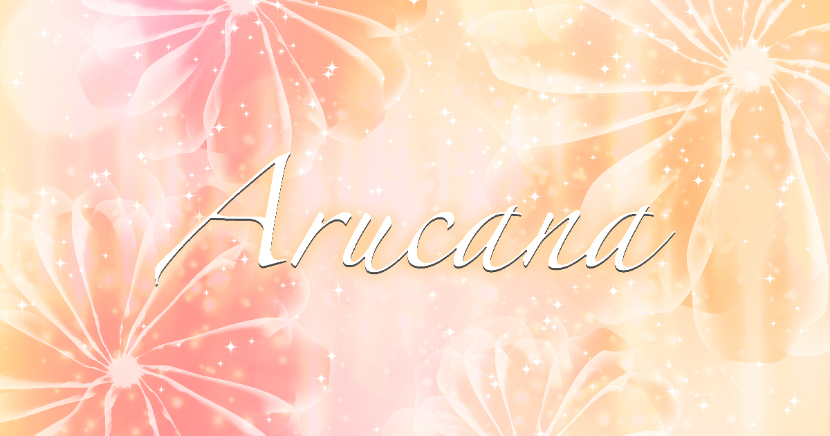 Bar Arucana画像6396