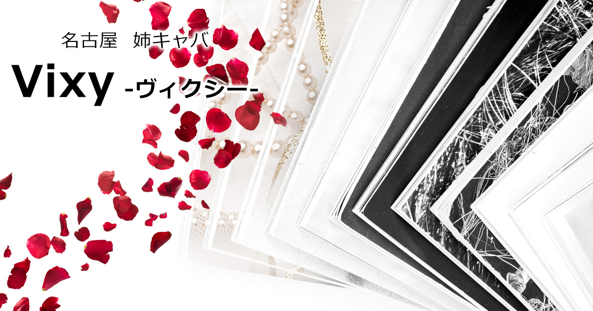 Vixy画像1807