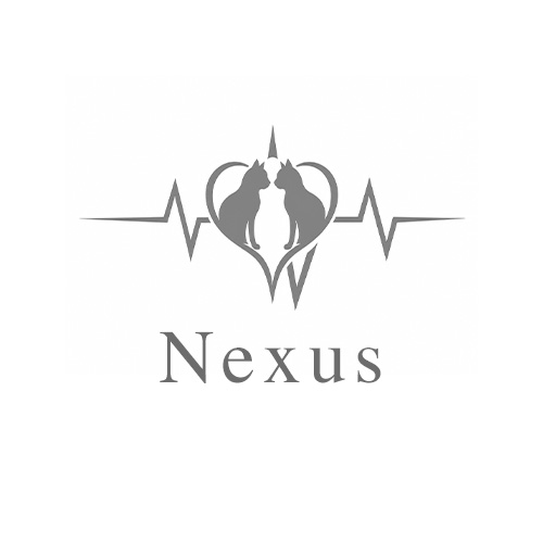 Nexus画像7515