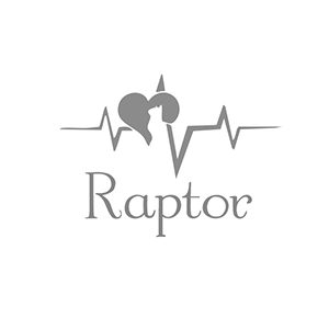 Raptor画像7349