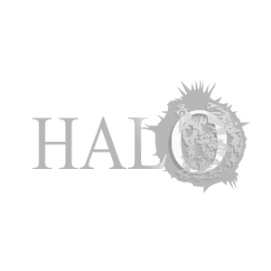 HALO画像1767