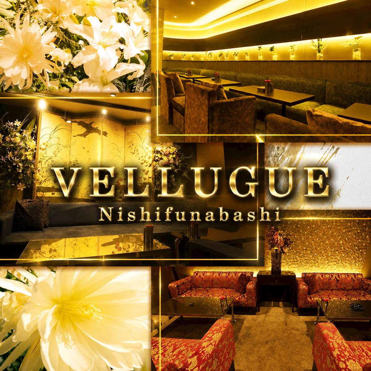 西船橋 VELLUGUE ホットニュース 238383