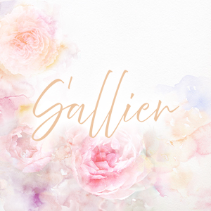 S'allier クーポン 1973