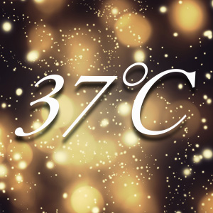 37℃