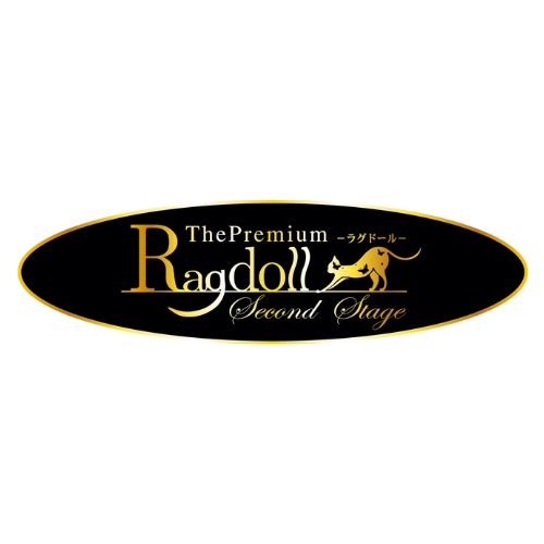 Premium　Ragdoll画像2002