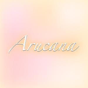 Bar Arucana画像6396