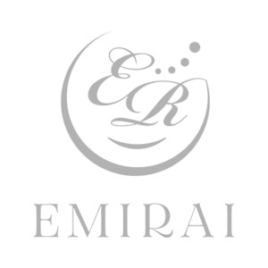 EMIRAI画像800