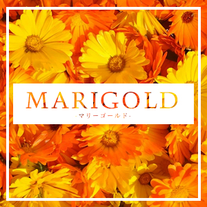 Marigold