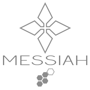 Messiah画像254