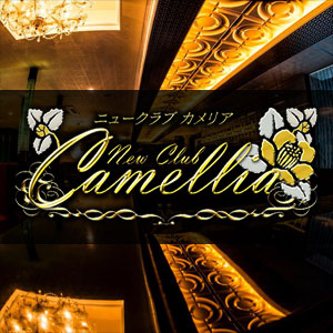 New Club Camellia