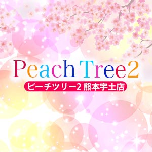 Peach Tree 2 熊本宇土店