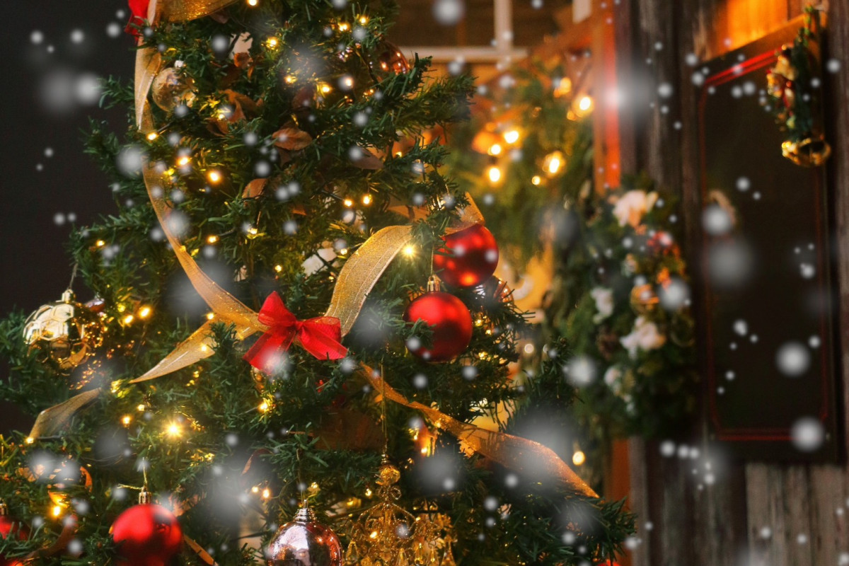 🎄Christmas Event🎄