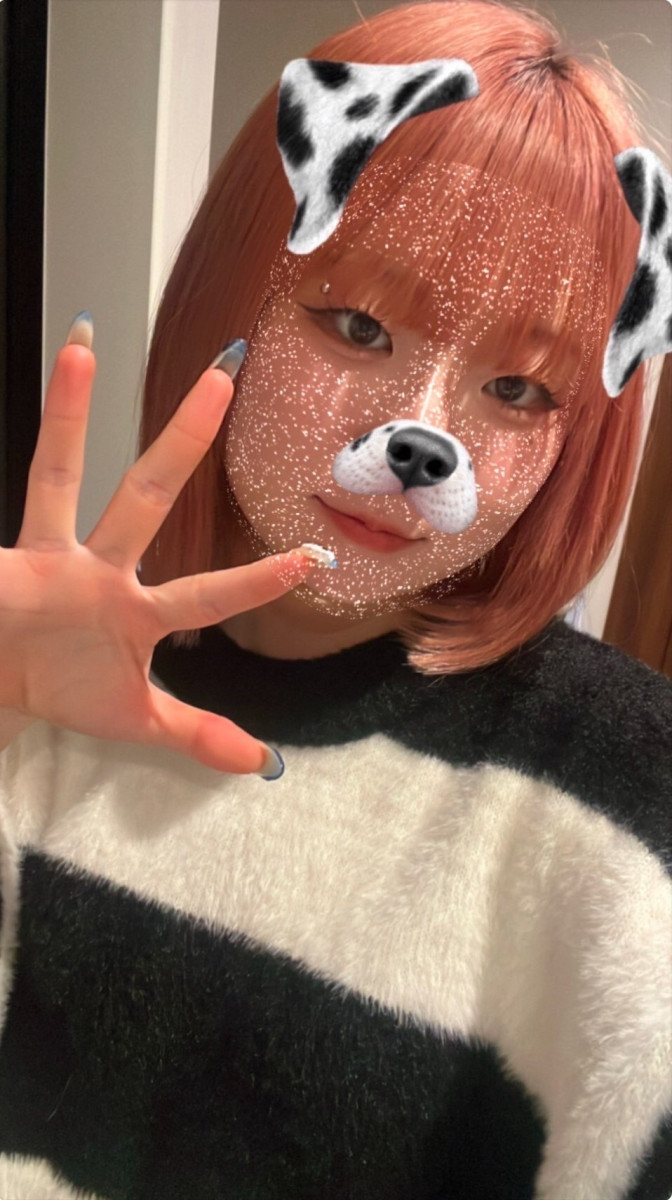 一条 葵