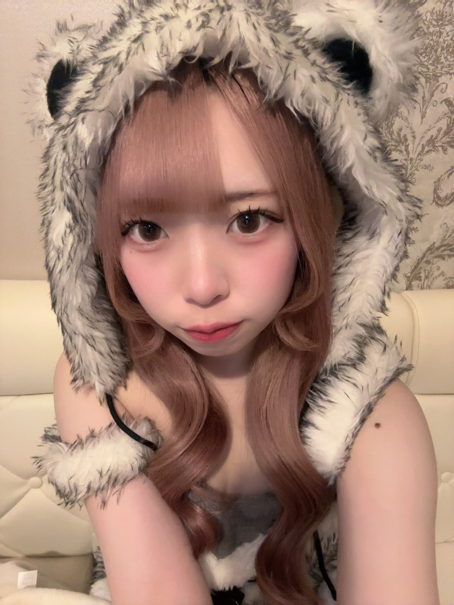 一条 葵