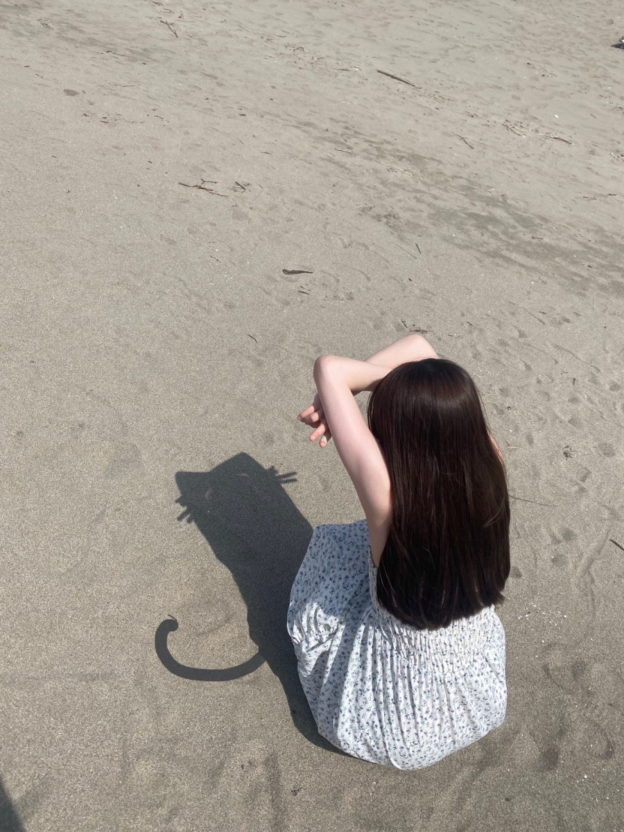 一条 葵